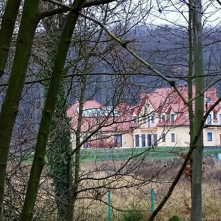 Bukowa Przystan Bed & Breakfast Barlinek