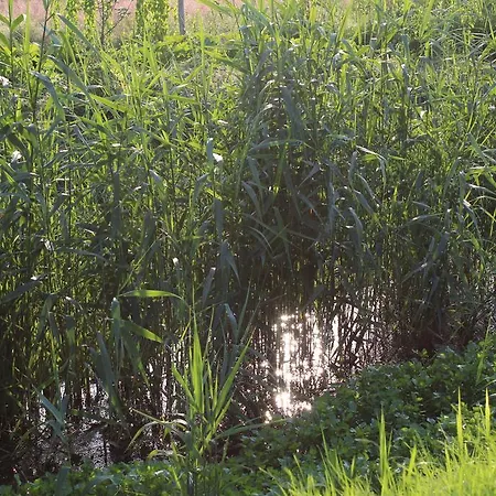 Bukowa Przystan Alojamento de Acomodação e Pequeno-almoço