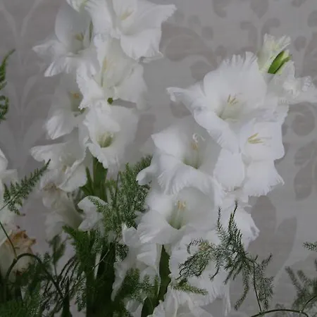 Bed and breakfast Bukowa Przystan 4*