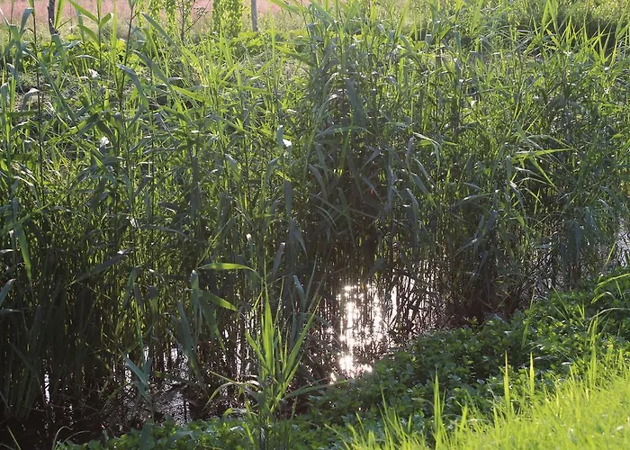 Bukowa Przystan ベッド・アンド・ブレックファスト