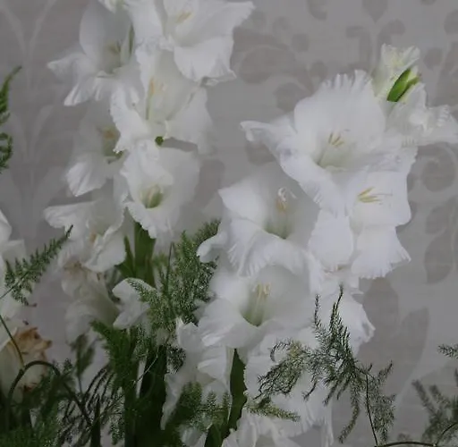 Bed and breakfast Bukowa Przystan 4*